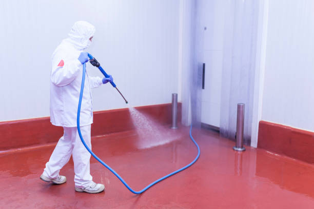 Holt, MI  Pressure Washing Services Company